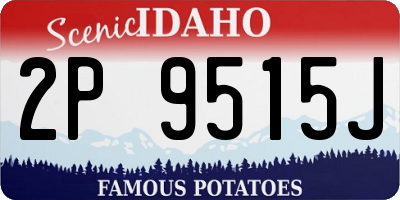 ID license plate 2P9515J