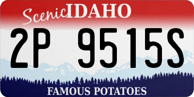 ID license plate 2P9515S