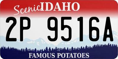 ID license plate 2P9516A