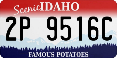 ID license plate 2P9516C