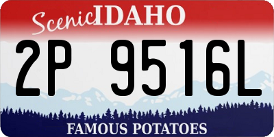 ID license plate 2P9516L