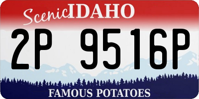 ID license plate 2P9516P