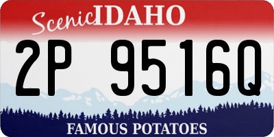 ID license plate 2P9516Q