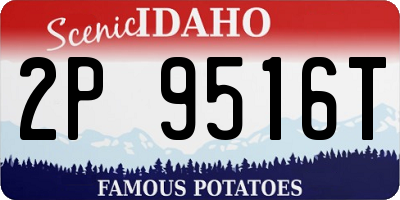 ID license plate 2P9516T