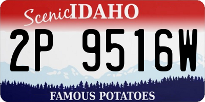 ID license plate 2P9516W