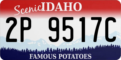 ID license plate 2P9517C