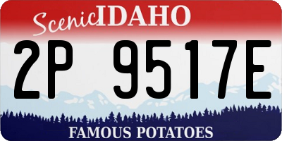 ID license plate 2P9517E