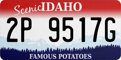 ID license plate 2P9517G