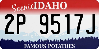 ID license plate 2P9517J