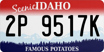 ID license plate 2P9517K