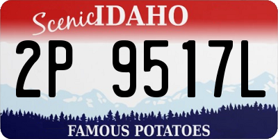 ID license plate 2P9517L