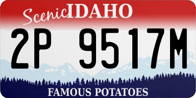 ID license plate 2P9517M