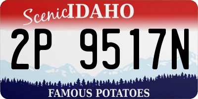 ID license plate 2P9517N