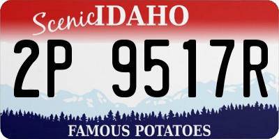 ID license plate 2P9517R