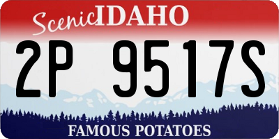ID license plate 2P9517S