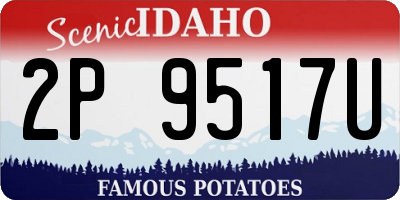 ID license plate 2P9517U