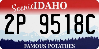 ID license plate 2P9518C