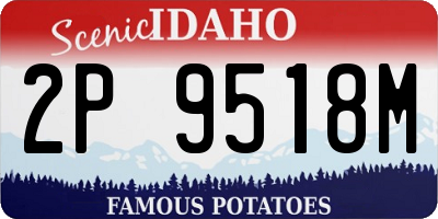 ID license plate 2P9518M