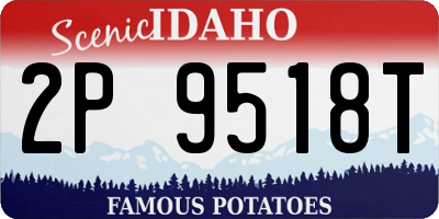 ID license plate 2P9518T