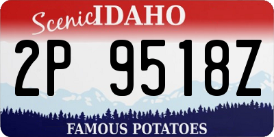 ID license plate 2P9518Z