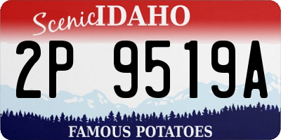 ID license plate 2P9519A