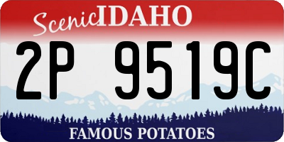 ID license plate 2P9519C