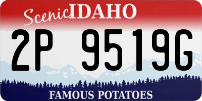 ID license plate 2P9519G