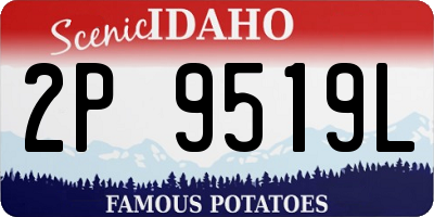 ID license plate 2P9519L