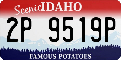 ID license plate 2P9519P