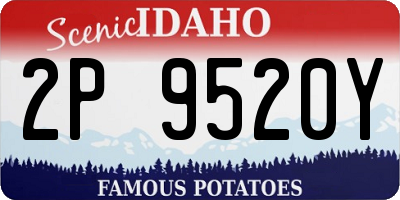 ID license plate 2P9520Y