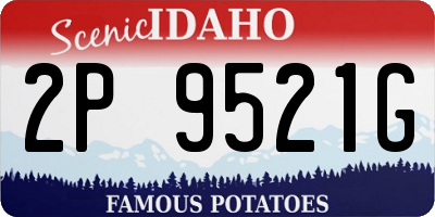 ID license plate 2P9521G