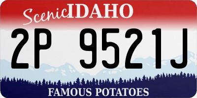 ID license plate 2P9521J