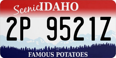 ID license plate 2P9521Z