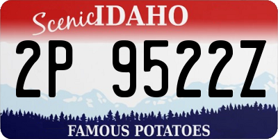 ID license plate 2P9522Z