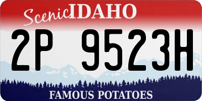 ID license plate 2P9523H