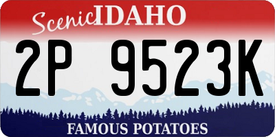 ID license plate 2P9523K