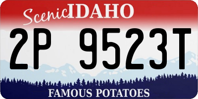 ID license plate 2P9523T