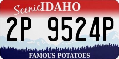 ID license plate 2P9524P