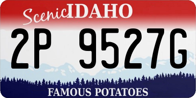 ID license plate 2P9527G