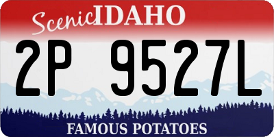 ID license plate 2P9527L