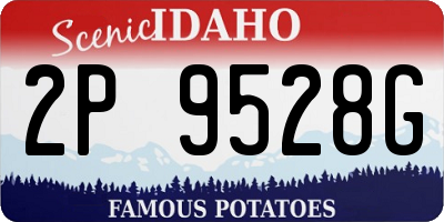 ID license plate 2P9528G