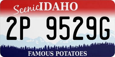 ID license plate 2P9529G