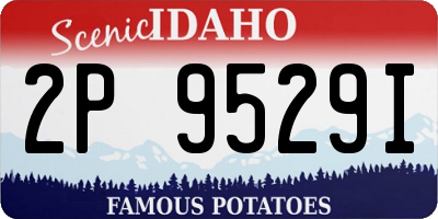 ID license plate 2P9529I
