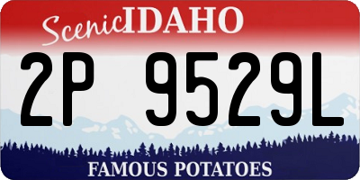 ID license plate 2P9529L
