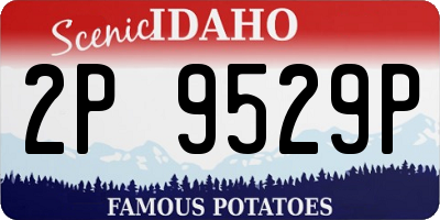 ID license plate 2P9529P