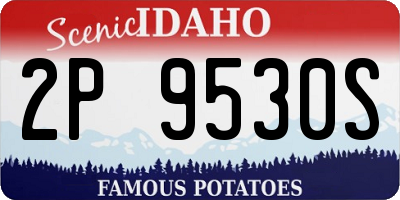 ID license plate 2P9530S