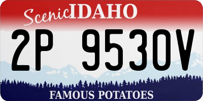 ID license plate 2P9530V