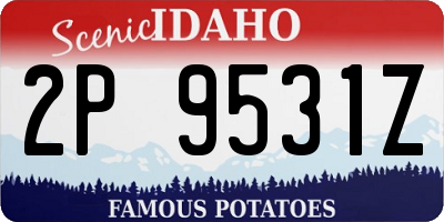 ID license plate 2P9531Z