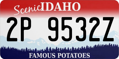 ID license plate 2P9532Z