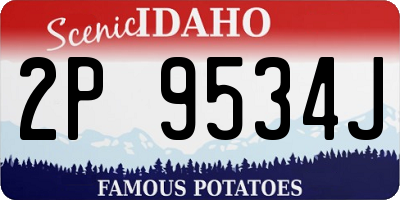 ID license plate 2P9534J